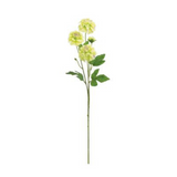 Pale Green Mini Dahlia Spray
