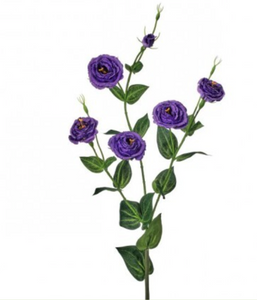 Purple Multi Flowered Lisianthus Spray