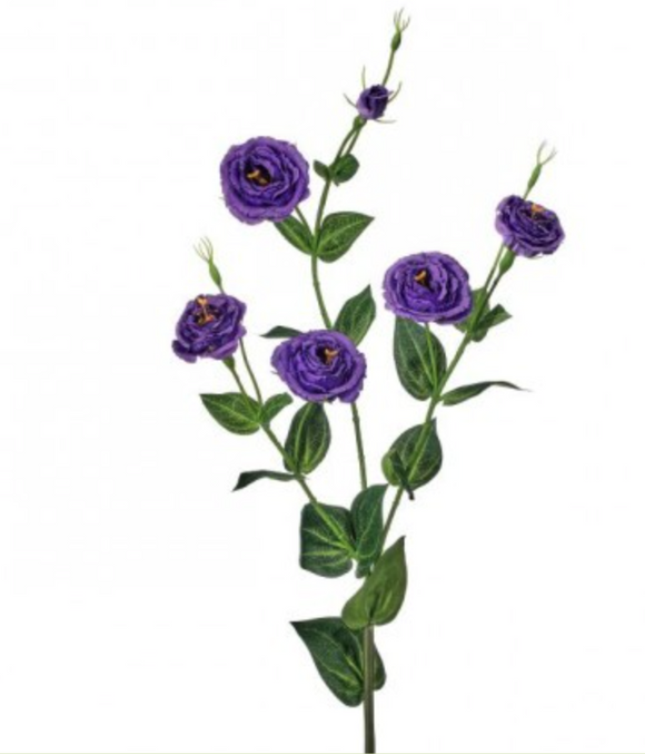 Purple Multi Flowered Lisianthus Spray