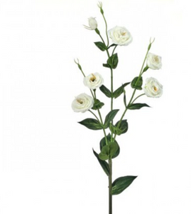 White Multi Flowered Lisianthus Spray