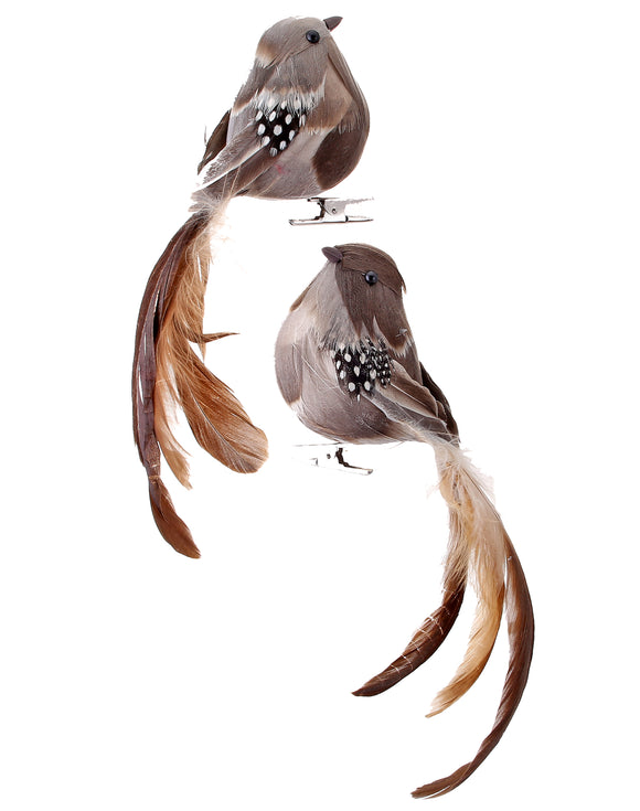  Natural Brown Natural Feather Long Tail Bird Clip Set Of 2 