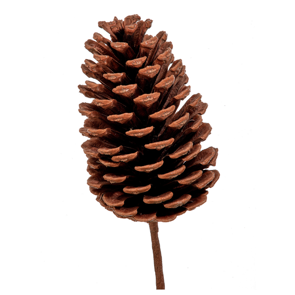 Natural Natural Pine Cone Pick