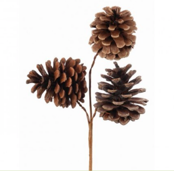 Brown Pinecone Pick