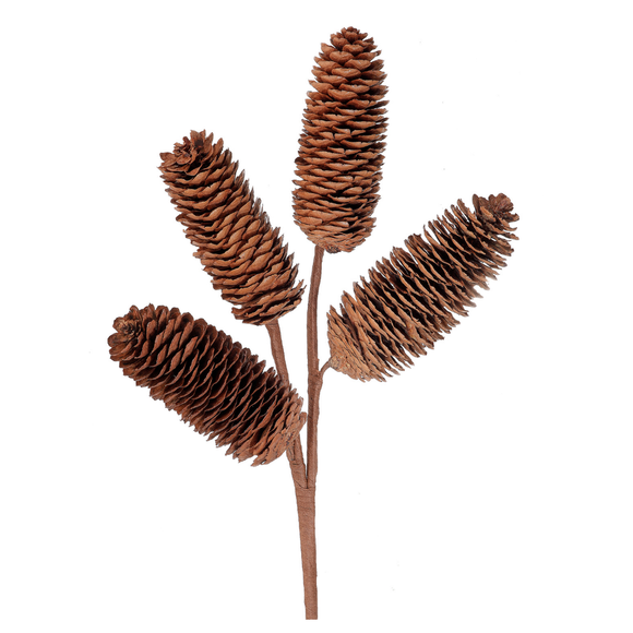 Natural Natural Pinecone Spray