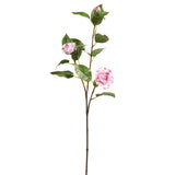 Pink Peppermint Camellia Spray