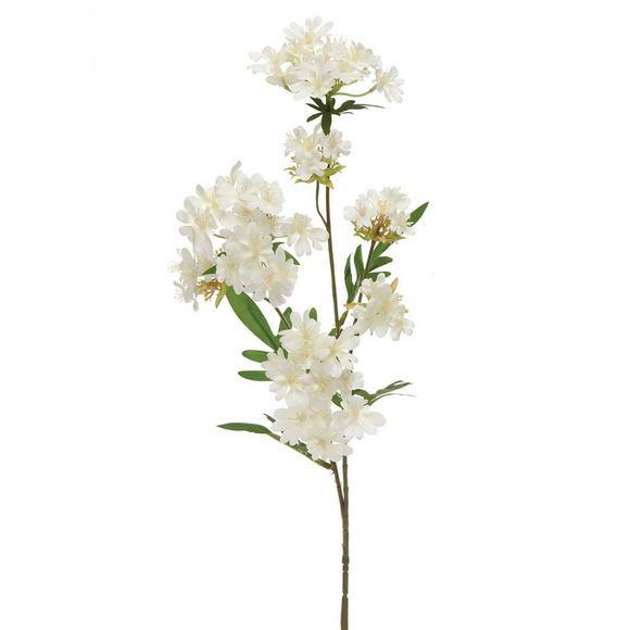 Spray of white colored phlox