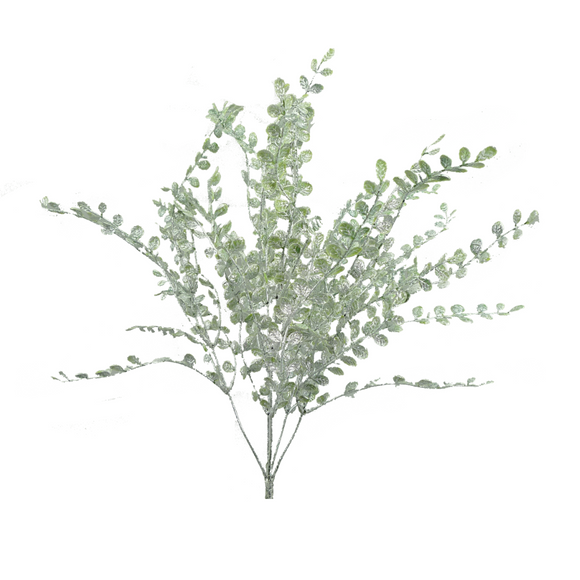 Green White Plastic Flat BoxWood Bush