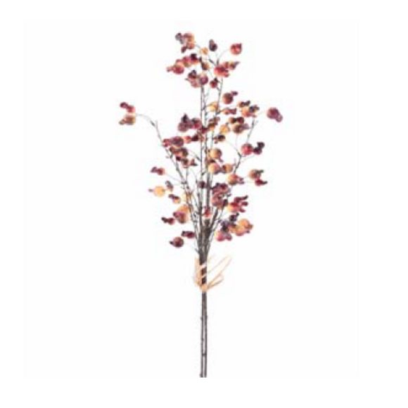 Mixed Pomegranate Spray
