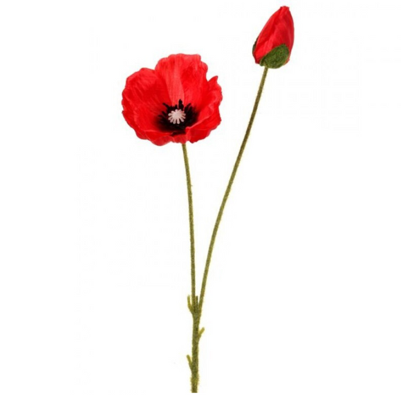 Red Poppy Stem Plus Bud