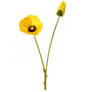 Yellow Poppy Stem Plus Bud