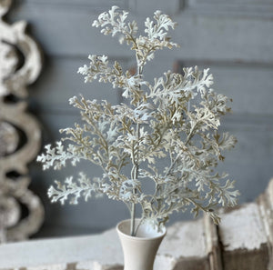 Dusty Miller Green Scalloping Strands Spray