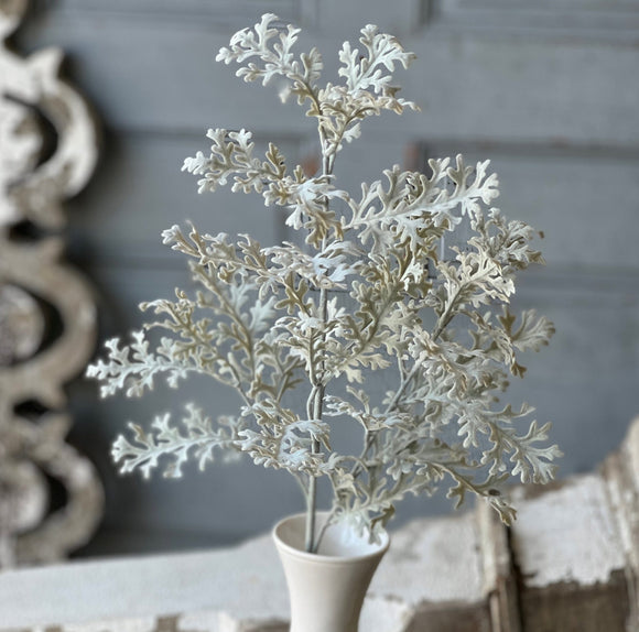 Dusty Miller Green Scalloping Strands Spray