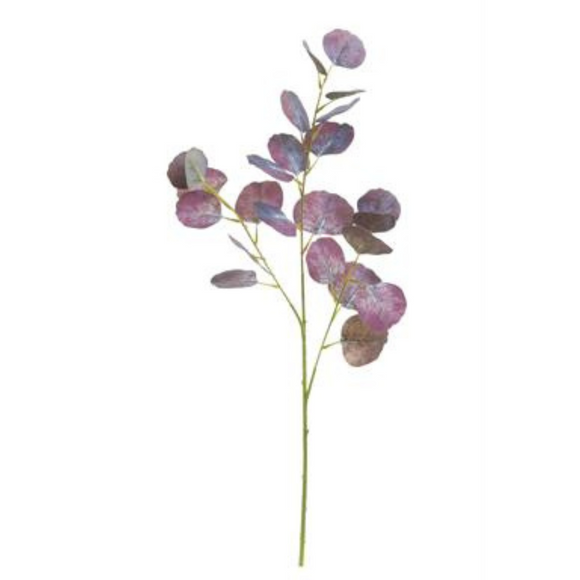 Plum Silver Dollar Spray