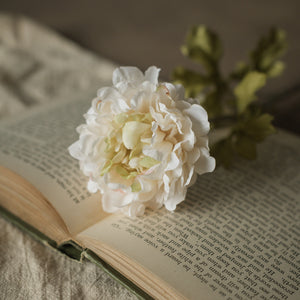 Beige Single Mum Spray