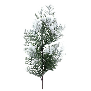 Snowy cedar spray