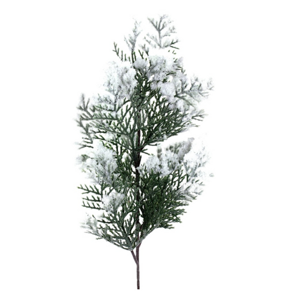 Snowy cedar spray