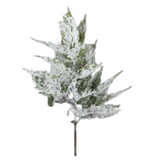 White Green Snow Cedar Spray