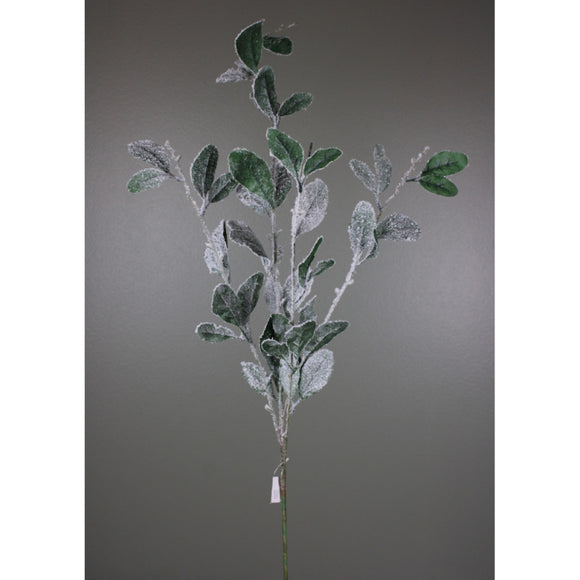  Green Snow Lambs Ear Leaf Spray 