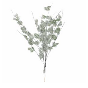 Green White Snow Pine Branch
