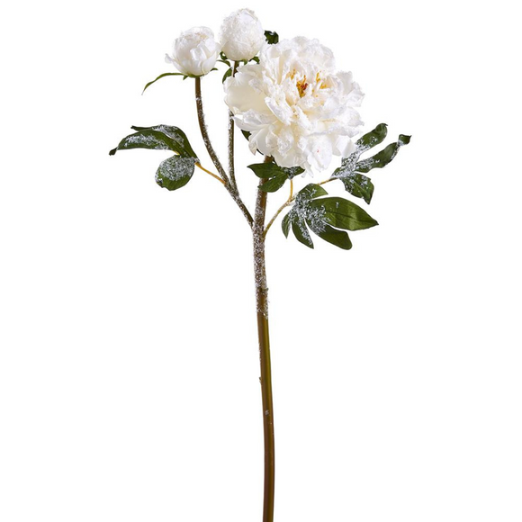 White Snow Snowed Peony Spray