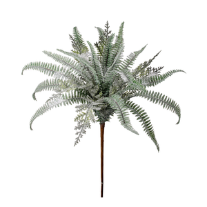 Frosted Green Snowy Mixed Fern Bush