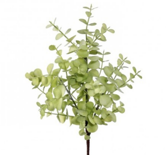 Green White Spring Eucalyptus Pick