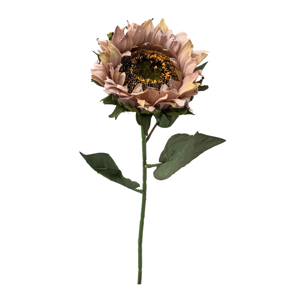 Mauve Sunflower Stem