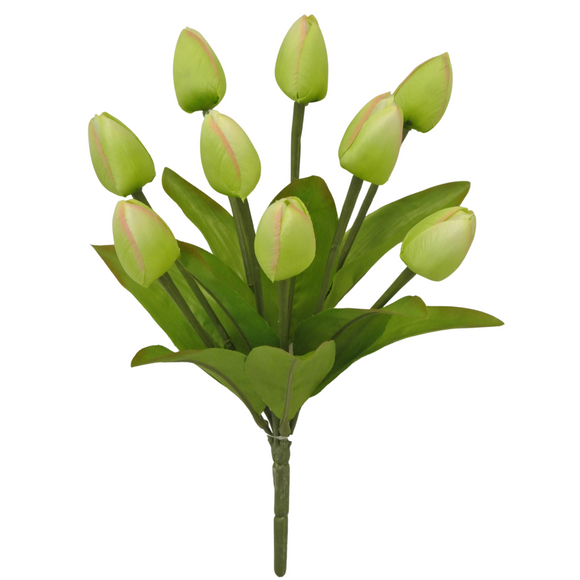 Green Tulip Bush
