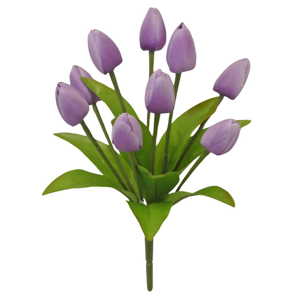 Lavender Tulip Bush