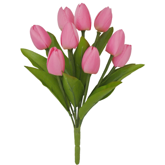 Pink Tulip Bush