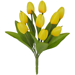 Yellow Tulip Bush