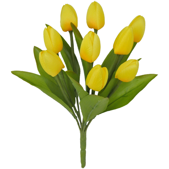 Yellow Tulip Bush