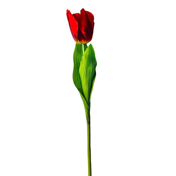  Red Tulip Natural Stem 