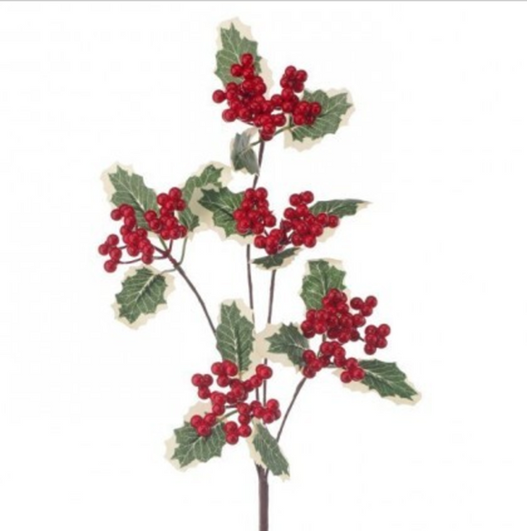 Red Green and white holly berry spray