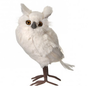  White White Furred Snow Owl 