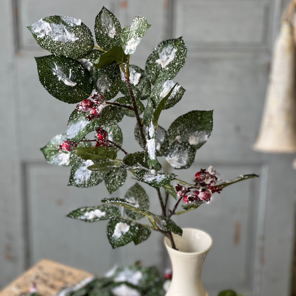  Green Red Snow Wintry Salutations Spray 