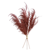 PHOENIX TAIL FERN, 28", Burgundy