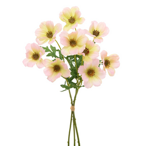 Boquet of flowers in blush color