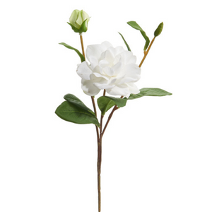 Spray of white gardenia