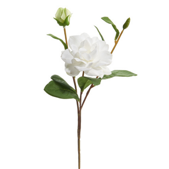 Spray of white gardenia