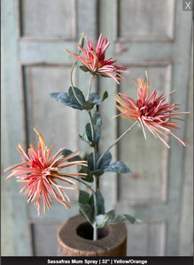 Coral Yellow Sassafras Mum Spray