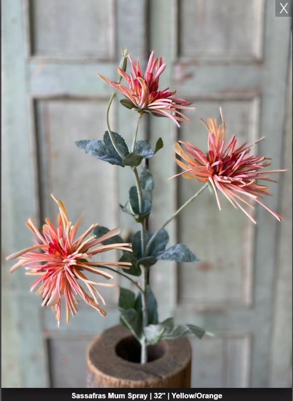 Coral Yellow Sassafras Mum Spray