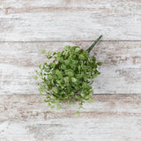 Green Boxwood And Berry Bush