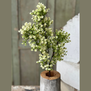 Spray of Cream Colored Flowers