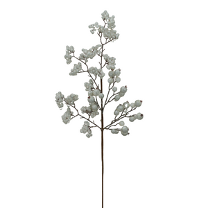 Single spray of white berries