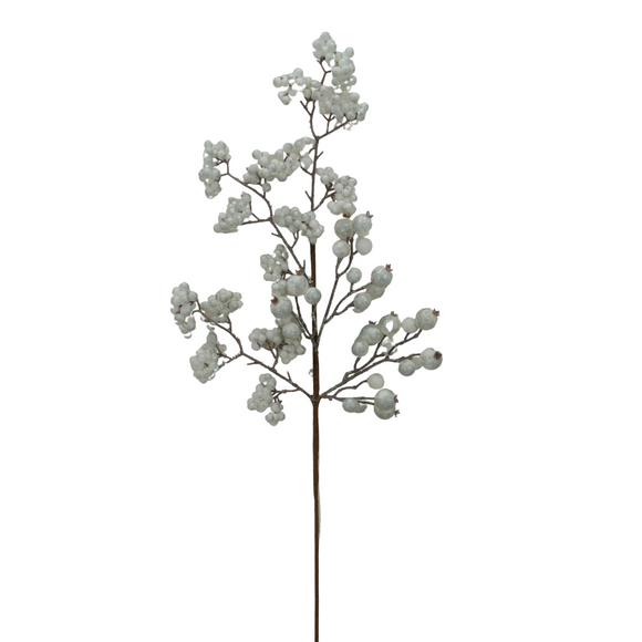 Single spray of white berries