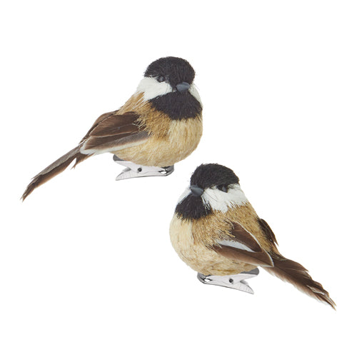 Browns Clip On Bird Ornament Set of 2