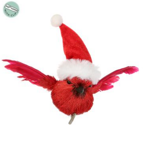 Red Cardinal with Christmas hat