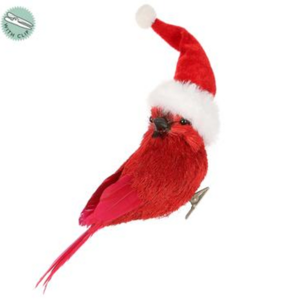 Red Cardinal with Christmas hat