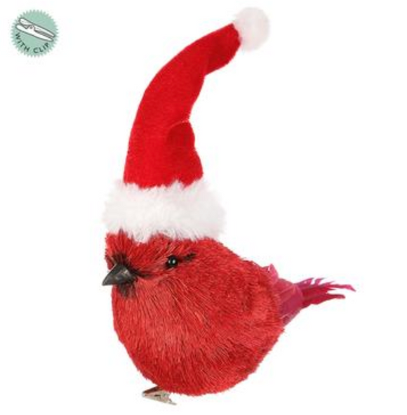 Red Cardinal with Christmas hat